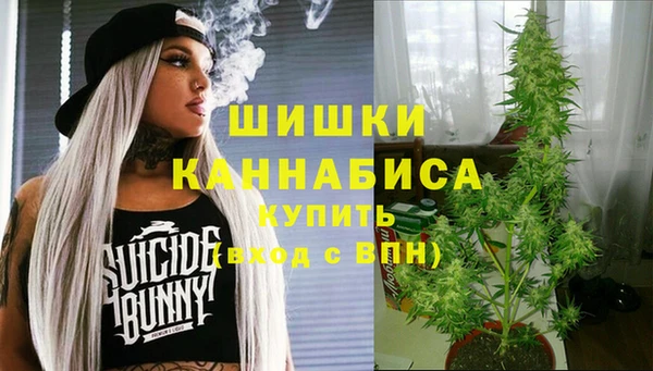 прущий лед Тихвин