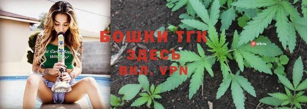 твердый Тында